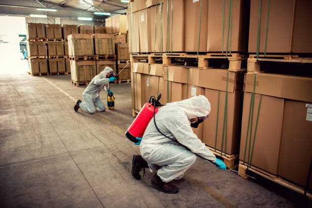 Best Cockroach Control Services  in Del Rio, TX