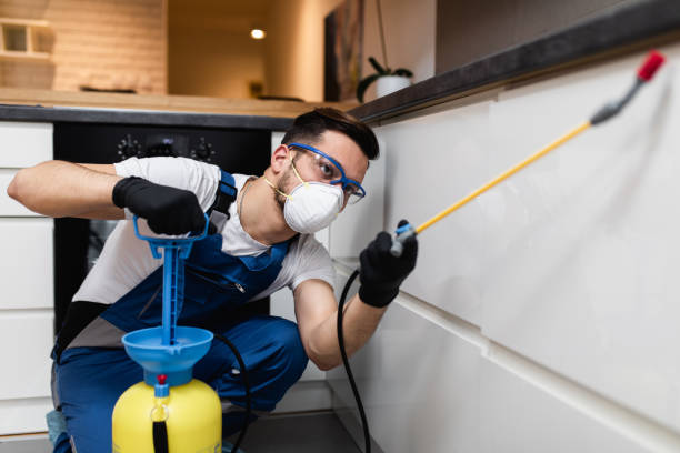Best Affordable Pest Control Services  in Del Rio, TX