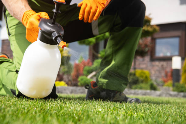 Trusted Del Rio, TX Pest Control Experts