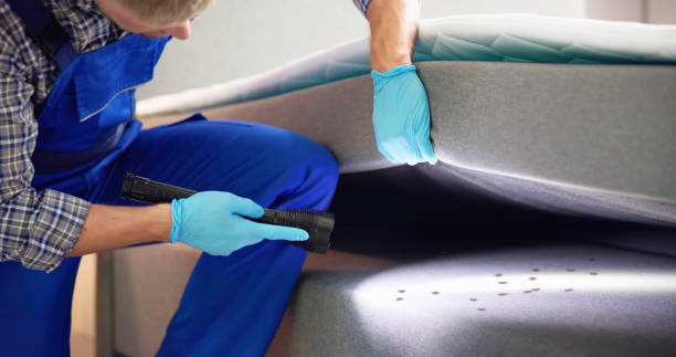 Best Pest Inspection Near Me  in Del Rio, TX