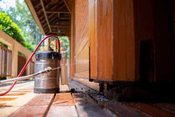 Best Pest Removal Services  in Del Rio, TX