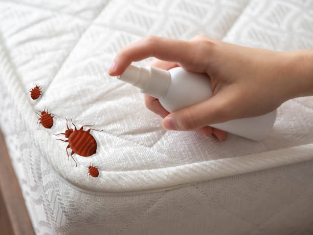 Best Best Pest Control Companies  in Del Rio, TX