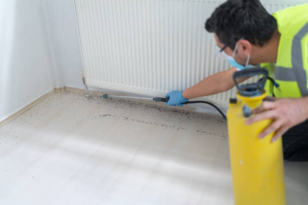 Best Best Pest Control Companies  in Del Rio, TX