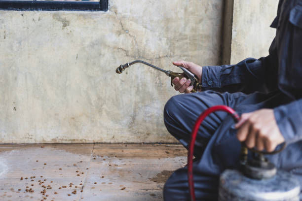 Best Pest Control Near Me in Del Rio, TX